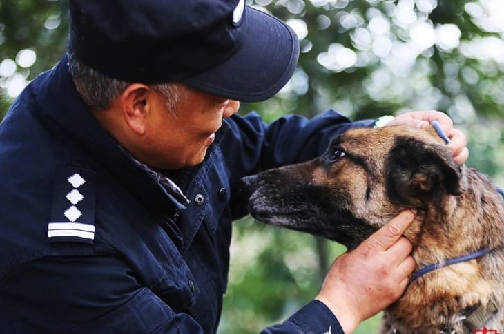 Chinese Cop Makes A Special Nursing Home For Retired Police Dogs