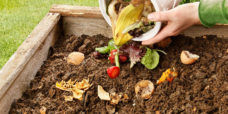 Hundreds Of US Cities Decide To Compost Their Food, Giving Farmers Better Soil And Cutting Emissions
