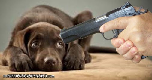 Court Rules Police Can Legally Execute Your Dog If It Does Anything, But Sit Silently